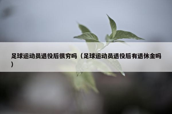 足球运动员退役后很穷吗（足球运动员退役后有退休金吗）