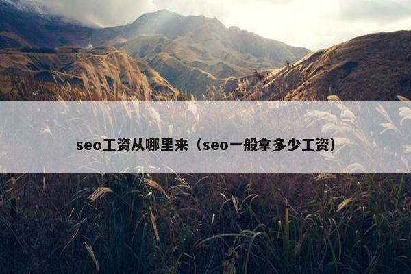 seo工资从哪里来（seo一般拿多少工资）