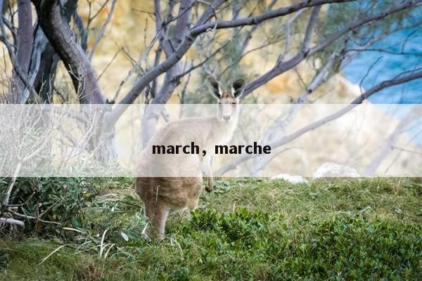 march，marche