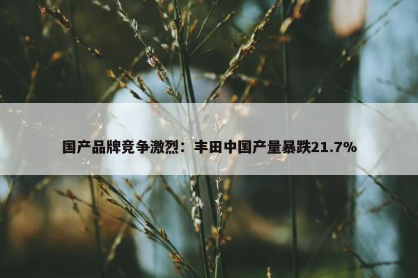 国产品牌竞争激烈：丰田中国产量暴跌21.7%