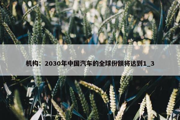 机构：2030年中国汽车的全球份额将达到1_3