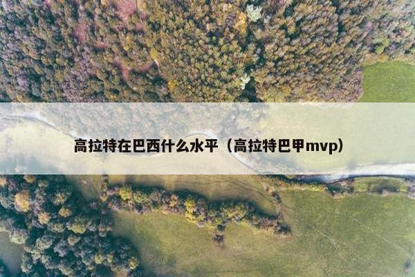 高拉特在巴西什么水平（高拉特巴甲mvp）