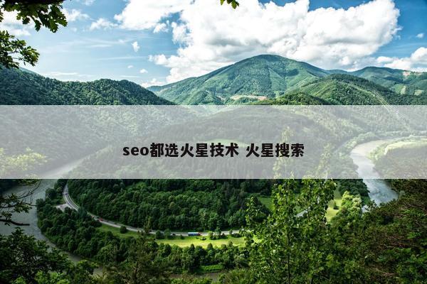 seo都选火星技术 火星搜索