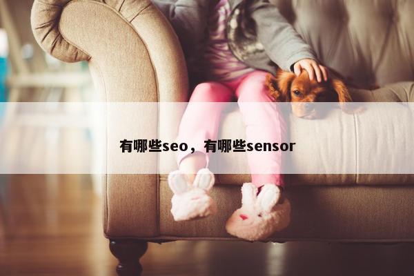 有哪些seo，有哪些sensor