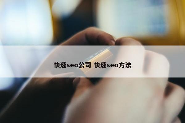 快速seo公司 快速seo方法