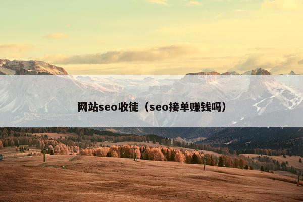 网站seo收徒（seo接单赚钱吗）