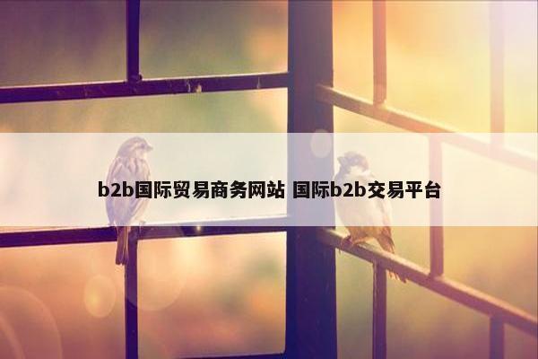 b2b国际贸易商务网站 国际b2b交易平台