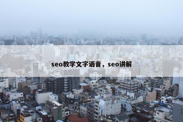 seo教学文字语音，seo讲解