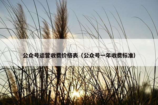 公众号运营收费价格表（公众号一年收费标准）