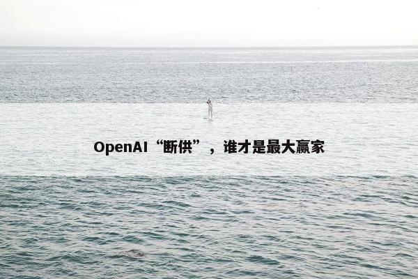 OpenAI“断供”，谁才是最大赢家