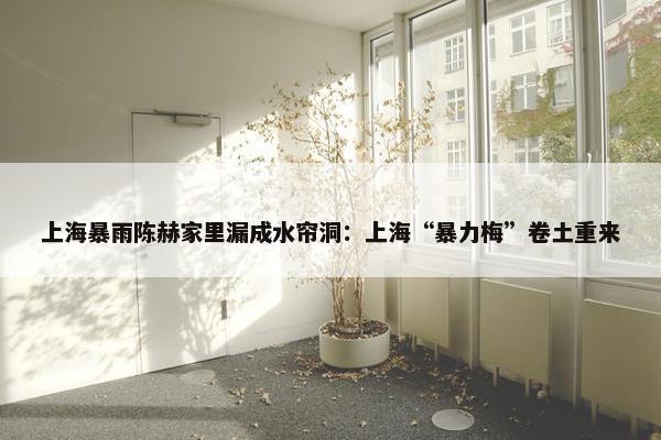 上海暴雨陈赫家里漏成水帘洞：上海“暴力梅”卷土重来