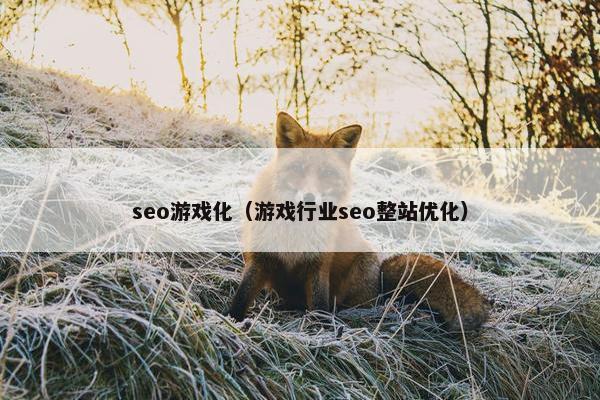 seo游戏化（游戏行业seo整站优化）