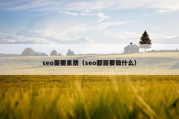 seo需要素质（seo都需要做什么）