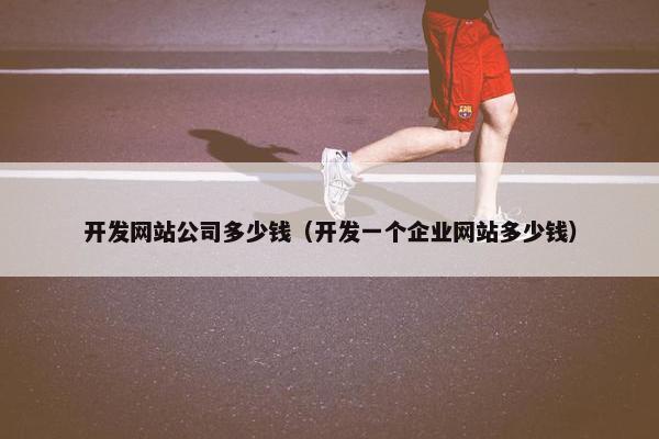 开发网站公司多少钱（开发一个企业网站多少钱）