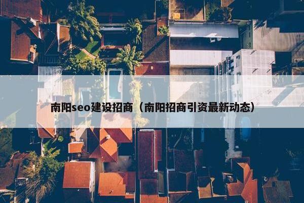 南阳seo建设招商（南阳招商引资最新动态）