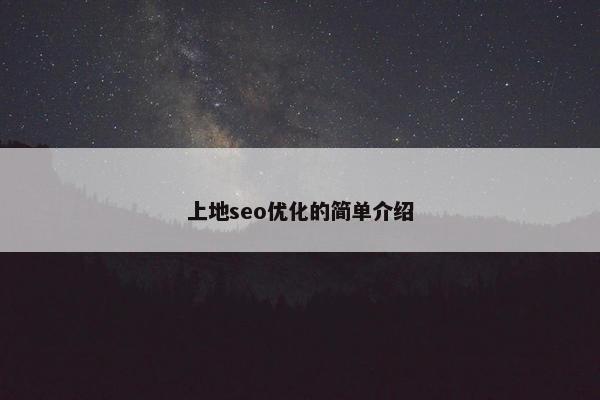 上地seo优化的简单介绍