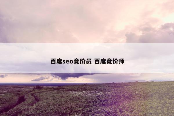 百度seo竞价员 百度竞价师