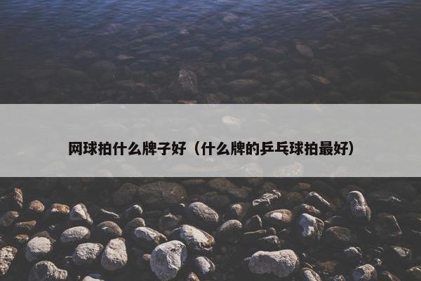 网球拍什么牌子好（什么牌的乒乓球拍最好）