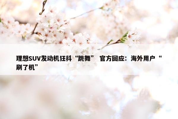 理想SUV发动机狂抖“跳舞” 正式回应：海外用户“刷了机”