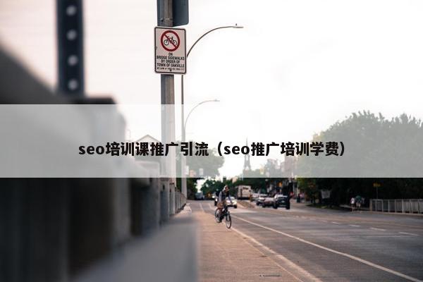 seo培训课推广引流（seo推广培训学费）