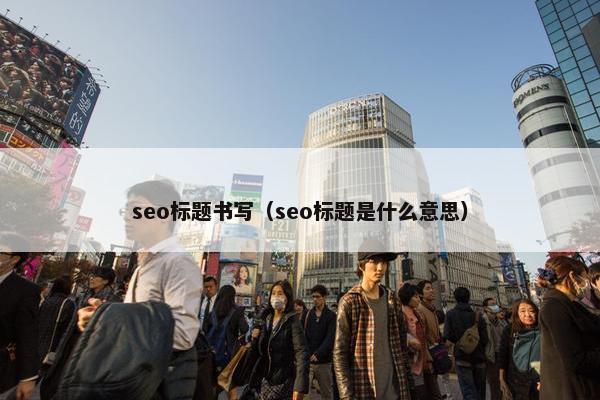 seo标题书写（seo标题是什么意思）