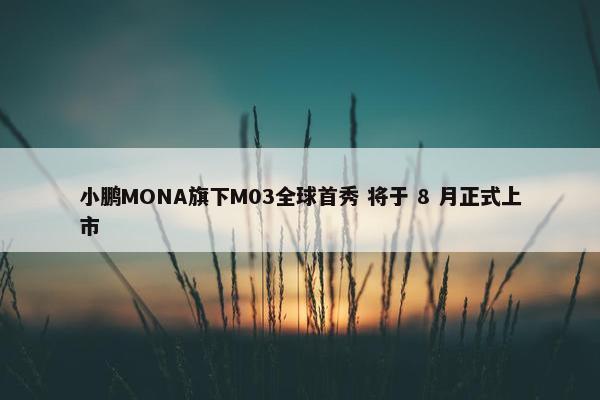 小鹏MONA旗下M03全球首秀 将于 8 月正式上市