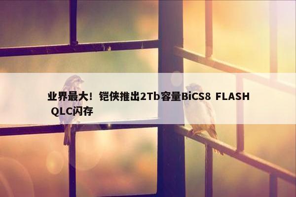 业界最大！铠侠推出2Tb容量BiCS8 FLASH QLC闪存