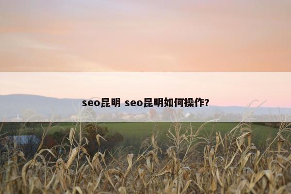 seo昆明 seo昆明如何操作?