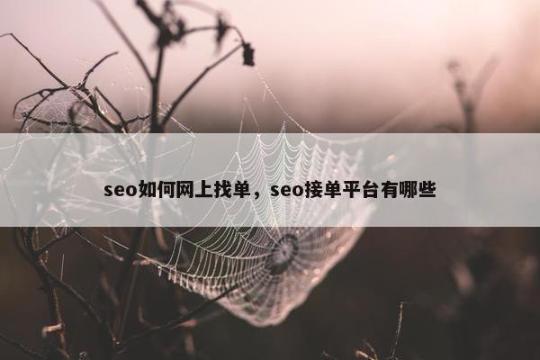 seo如何网上找单，seo接单平台有哪些