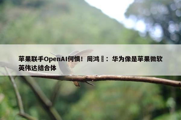 苹果联手OpenAI何惧！周鸿祎：华为像是苹果微软英伟达结合体