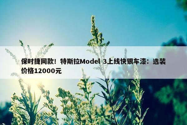 保时捷同款！特斯拉Model 3上线快银车漆：选装价格12000元