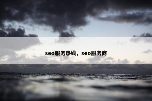 seo服务热线，seo服务商