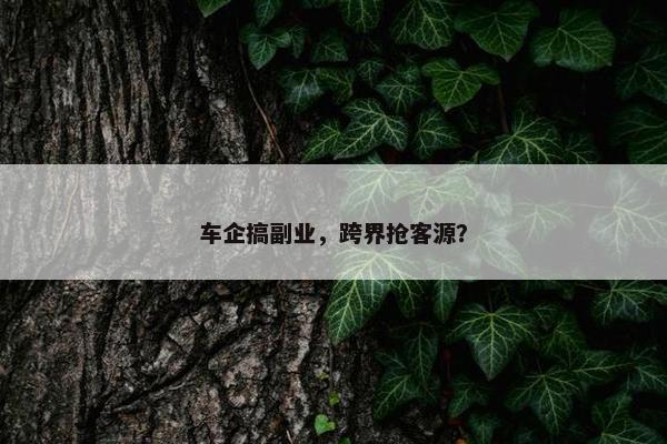 车企搞副业，跨界抢客源？