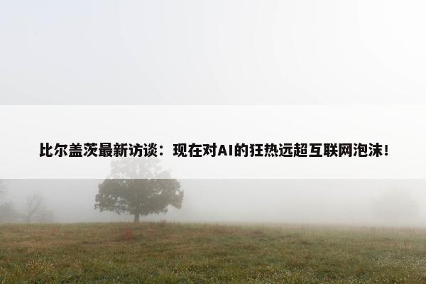 比尔盖茨最新访谈：现在对AI的狂热远超互联网泡沫！