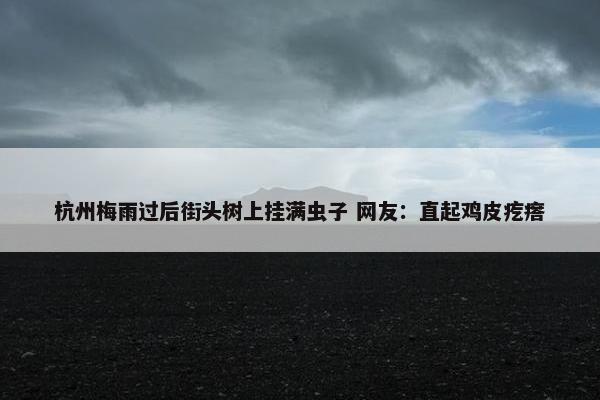 杭州梅雨过后街头树上挂满虫子 网友：直起鸡皮疙瘩