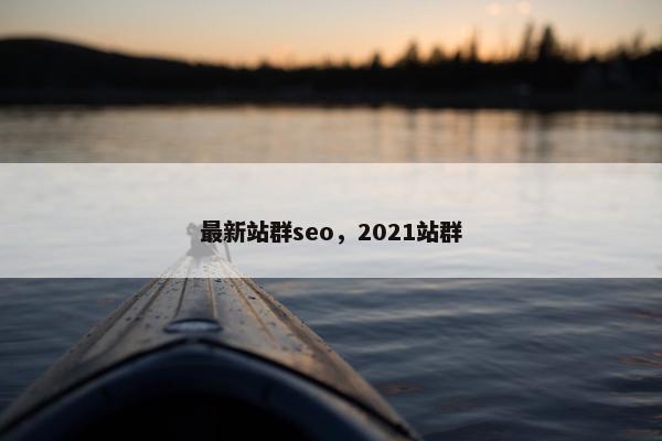 最新站群seo，2021站群