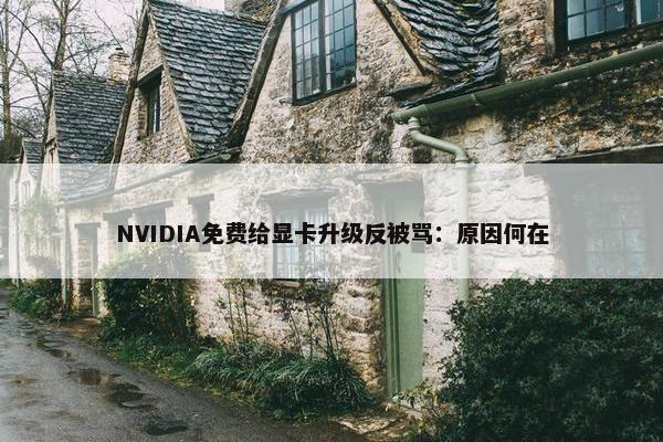 NVIDIA面菲给显卡升级反被骂：原因何在