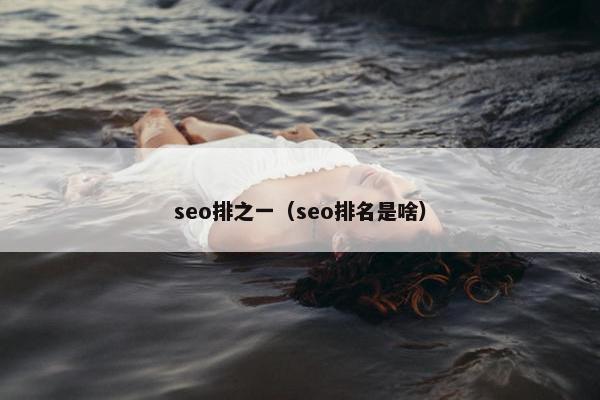 seo排之一（seo排名是啥）