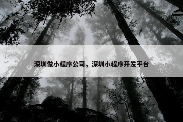 深圳做小程序公司，深圳小程序开发平台