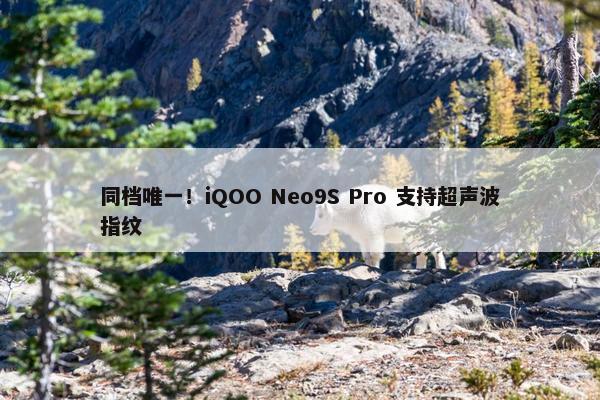 同档唯一！iQOO Neo9S Pro 支持超声波指纹