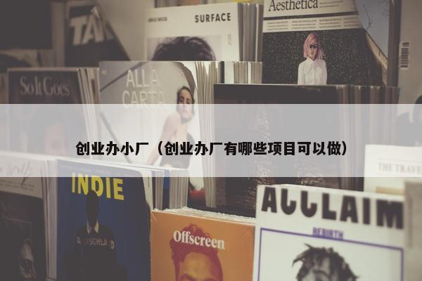 创业办小厂（创业办厂有哪些项目可以做）