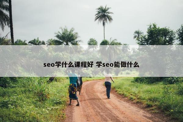 seo学什么课程好 学seo能做什么