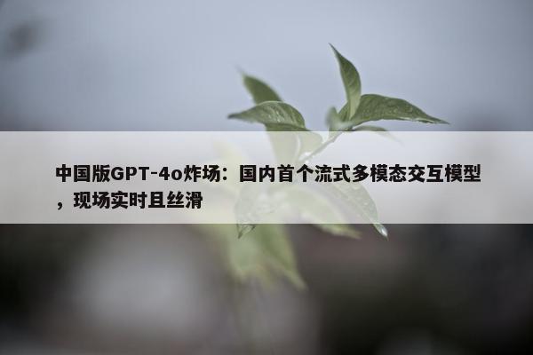 中国版GPT-4o炸场：国内首个流式多模态交互模型，现场实时且丝滑