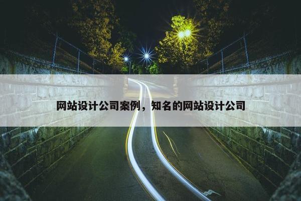 网站设计公司案例，知名的网站设计公司