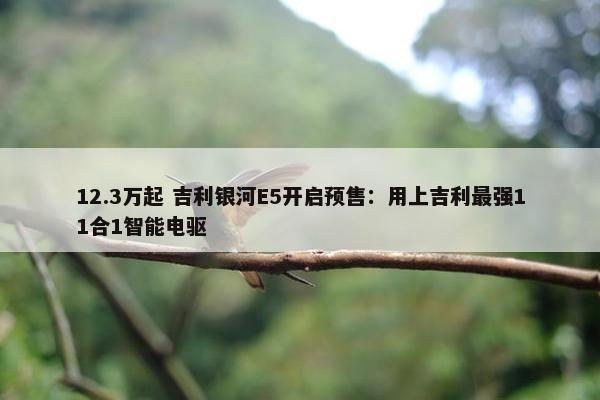 12.3万起 吉利银河E5开启预售：用上吉利最强11合1智能电驱