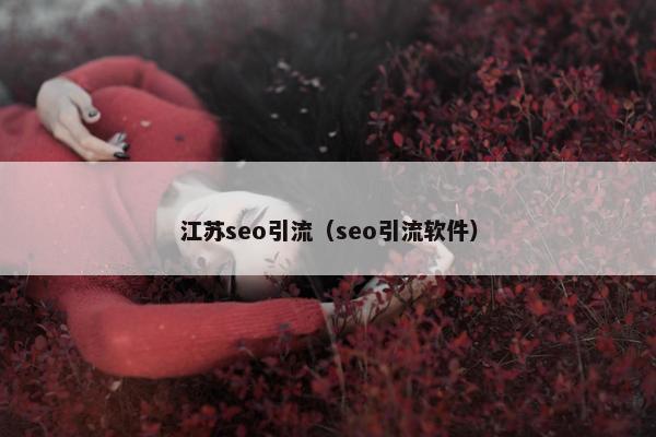 江苏seo引流（seo引流软件）