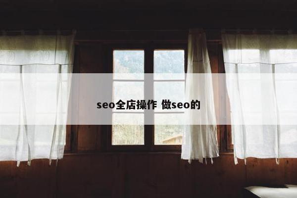 seo全店操作 做seo的