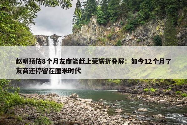 赵明预估8个月友商能赶上荣耀折叠屏：如今12个月了友商还停留在厘米时代