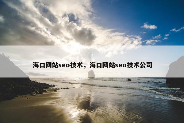 海口网站seo技术，海口网站seo技术公司