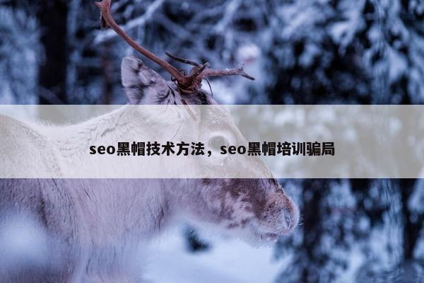 seo黑帽技术方法，seo黑帽培训骗局